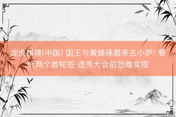 龙虎棋牌(中国) 国王与黄蜂琢磨来去小萨! 要价两个首轮签 选秀大会前恐难实现
