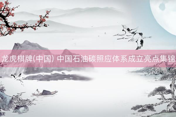 龙虎棋牌(中国) 中国石油碳照应体系成立亮点集锦